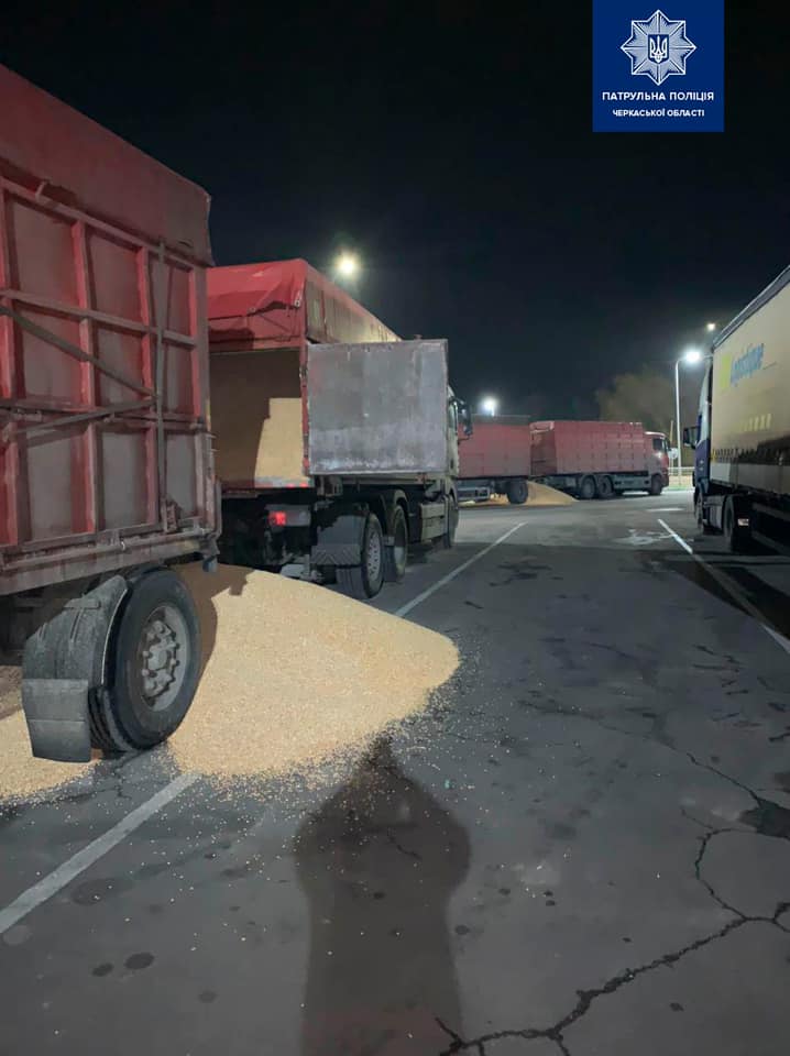 В Умані водії фур відмовилися відповідати за перегруз і висипали зерно на дорогу (фото)