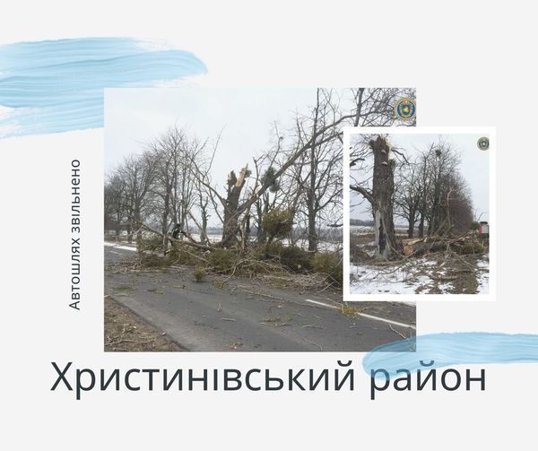На Черкащині дерево впало на дорогу