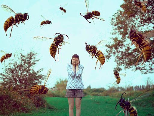 Смертельне жало: черкащани, які опинилися за крок від смерті через алергію на комах