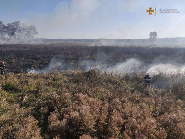 На Черкащині в пожежі згоріло 4 гектари рослинності