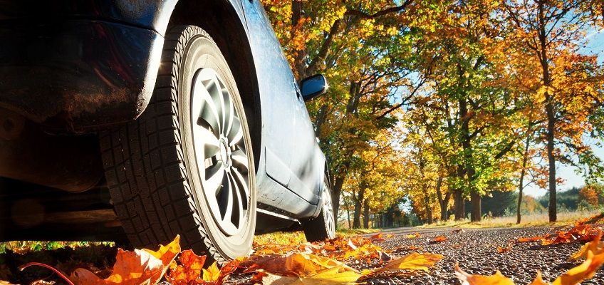 Як правильно експлуатувати та доглядати автомобіль восени: поради черкаським водіям