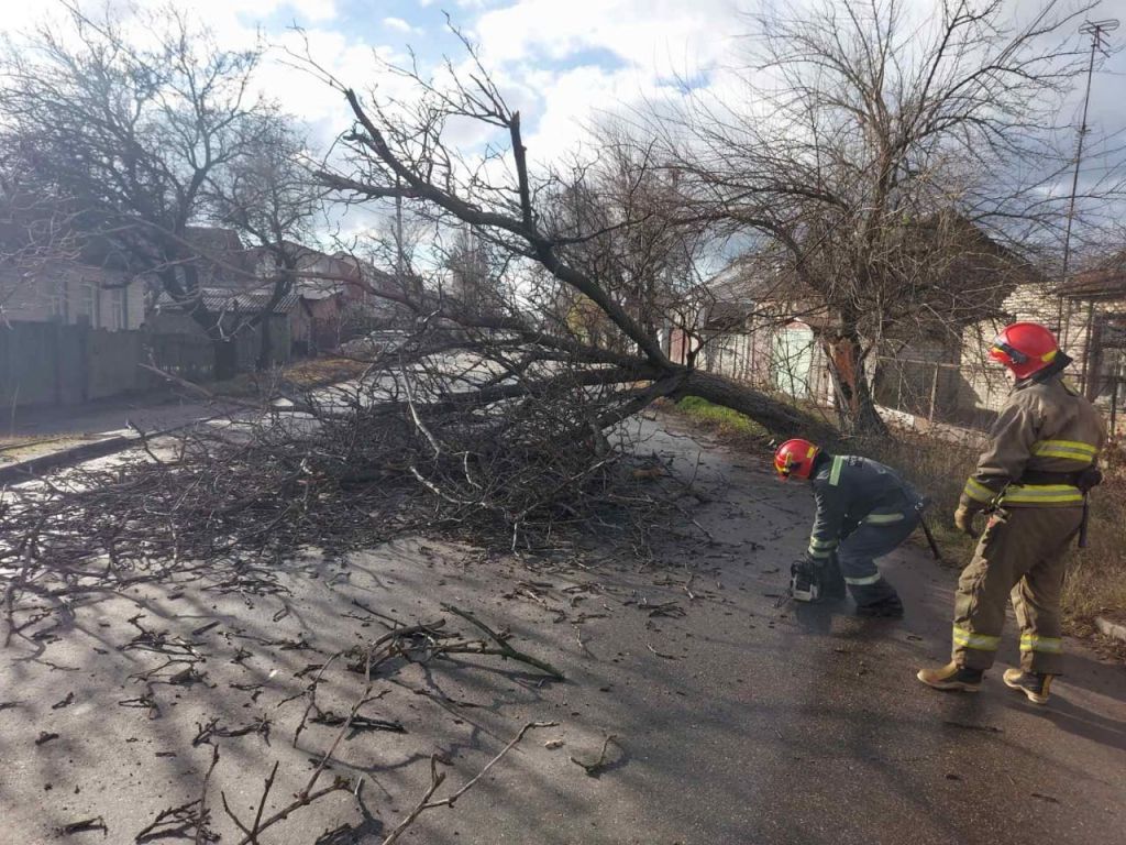 Рятувальникам Черкащини довелося деблокувати вантажівку з-під поваленого дерева