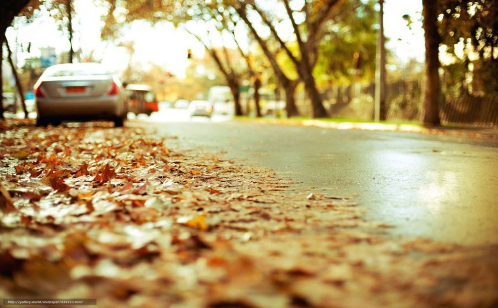 Як безпечно та правильно їздити на автомобілі восени: поради черкащанам