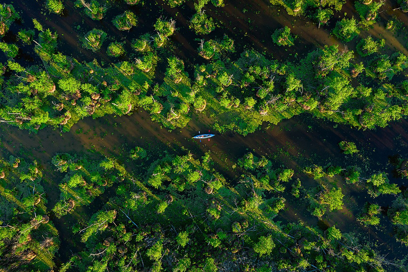 Фото Ірдинського болота на Черкащині перемогло в обласному етапі конкурсу “Вікі любить Землю”