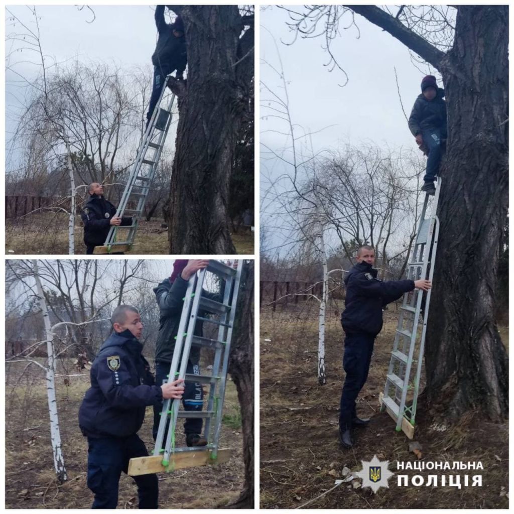 На Черкащині поліцейський допоміг дитині злізти з дерева