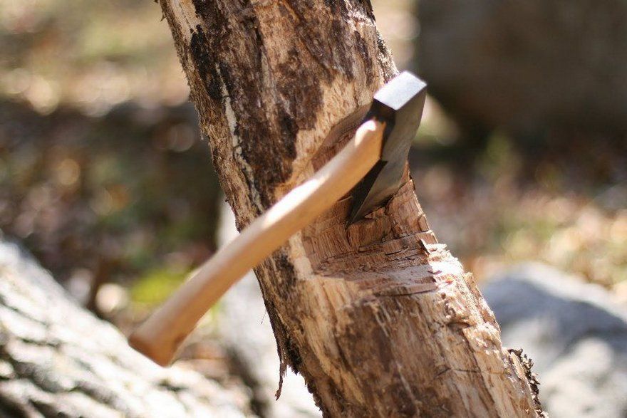 На Золотоніщині троє чоловіків незаконно нарубали дерев на сотні тисяч гривень