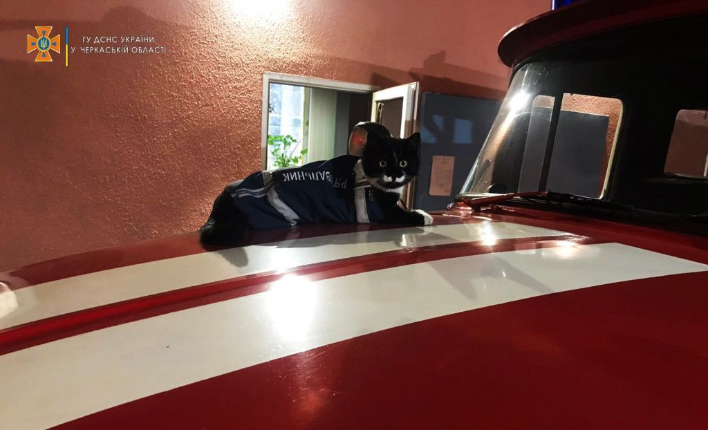 Черкаські пожежники показали свого кота-“рятувальника”