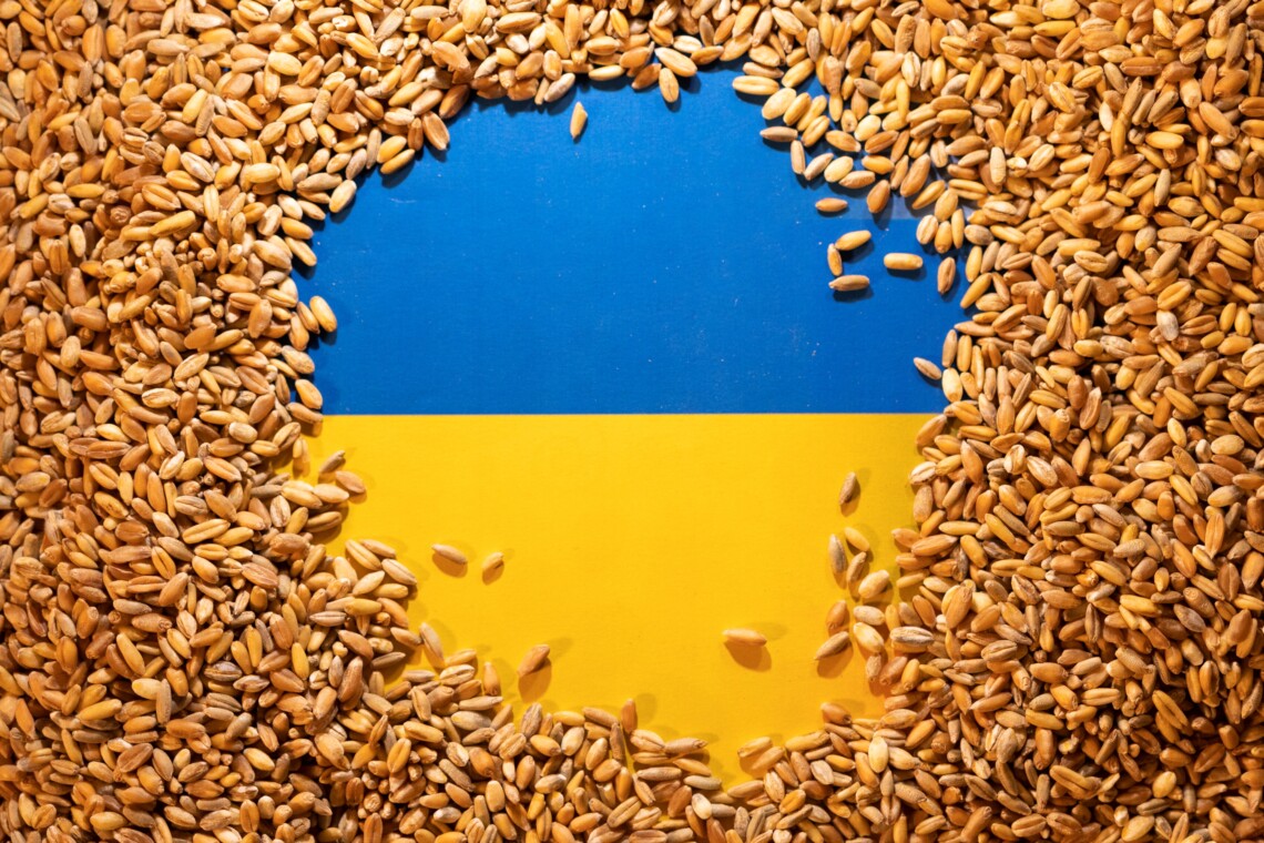 Blue and yellow Ukrainian flag framed by a border of wheat grains in a grainy border.