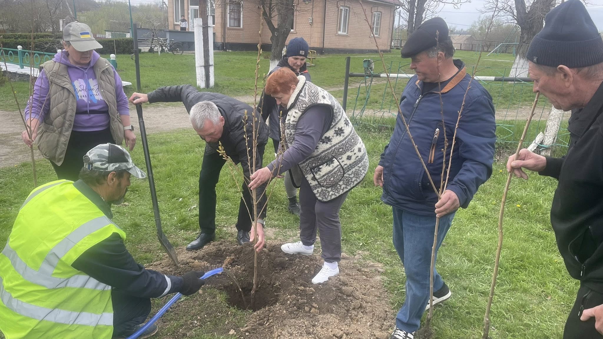Group of people planting young trees in a grassy area, guiding saplings into a freshly dug hole in a park setting.
