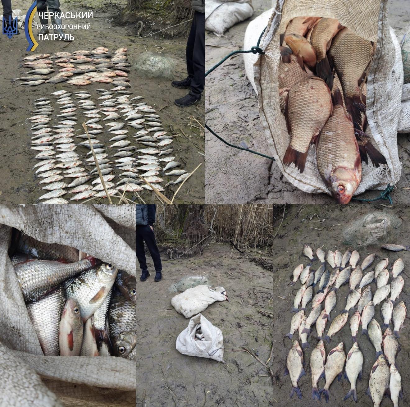 Collage showing numerous fish laid in rows on a muddy shore, with sacks of fish nearby and a person standing in the background; Cherkasy Patrol logo in the top-left corner.