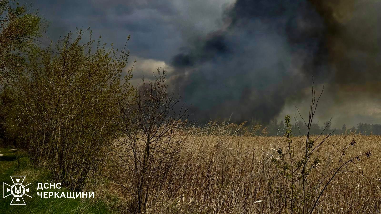 Smoke rises over a rural field of tall dry grass with trees along the left edge; emergency services watermark in the bottom-left corner.