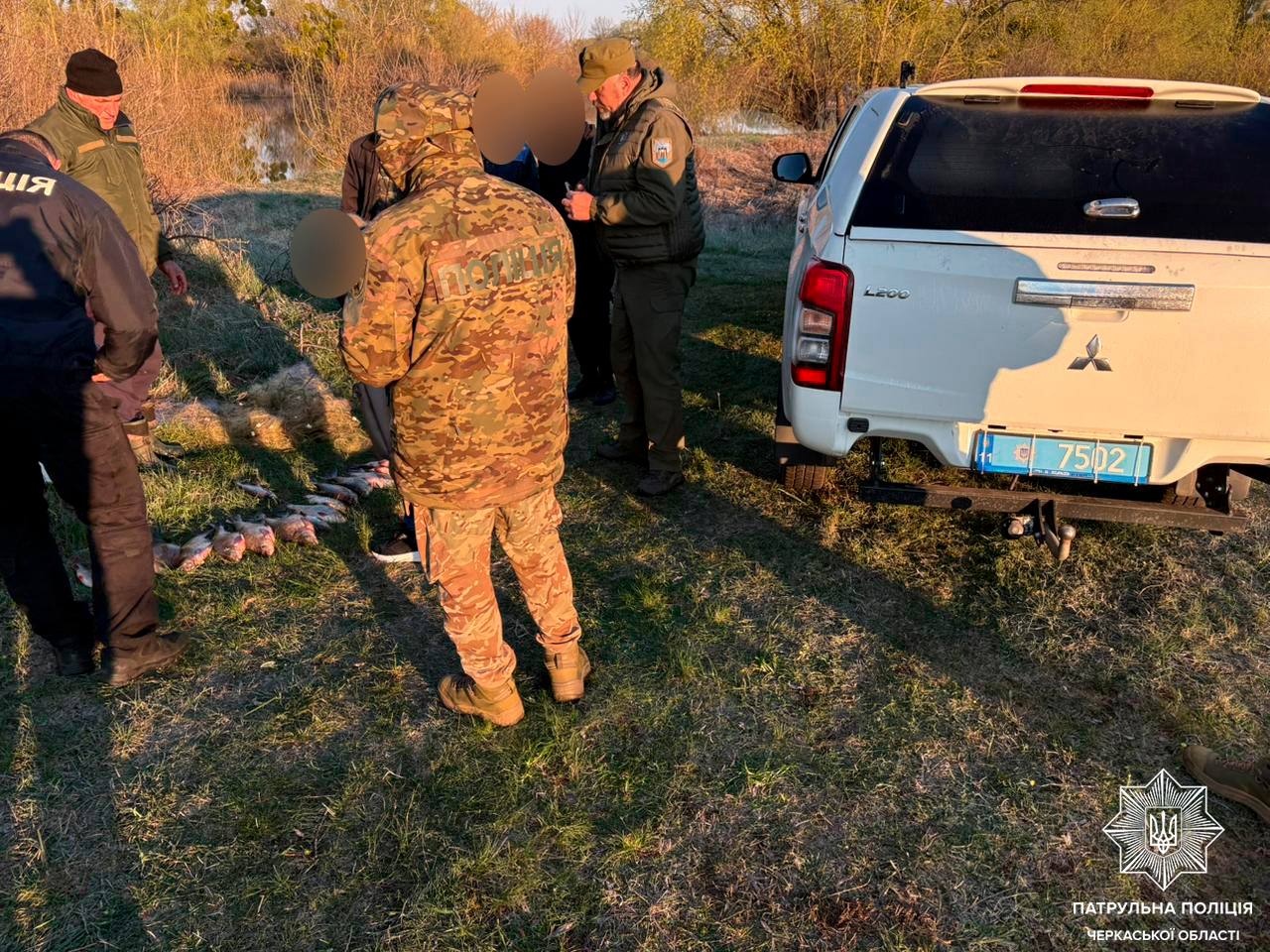 Group of uniformed officers inspecting a line of fish on the ground beside a white pickup truck in a rural area.