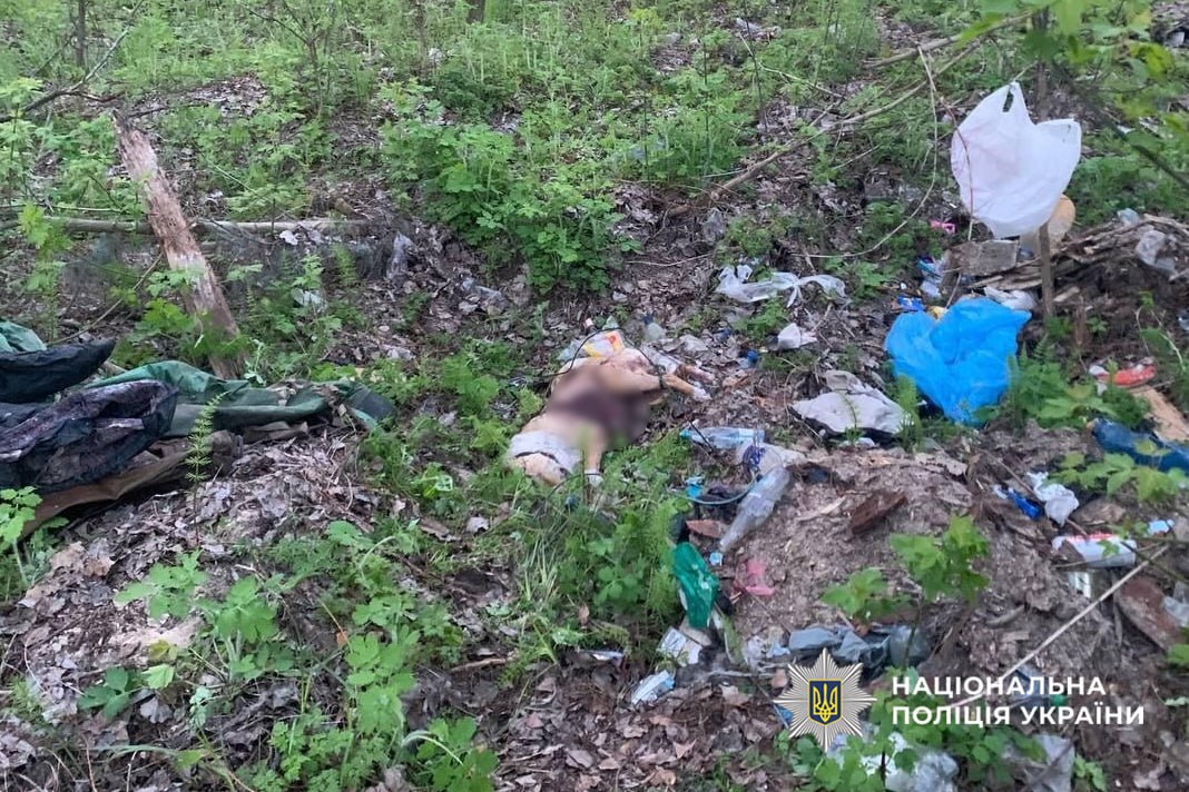 Littered forest floor with plastic bags, bottles, and debris; a blurred person lies among the trash; Ukrainian police watermark.