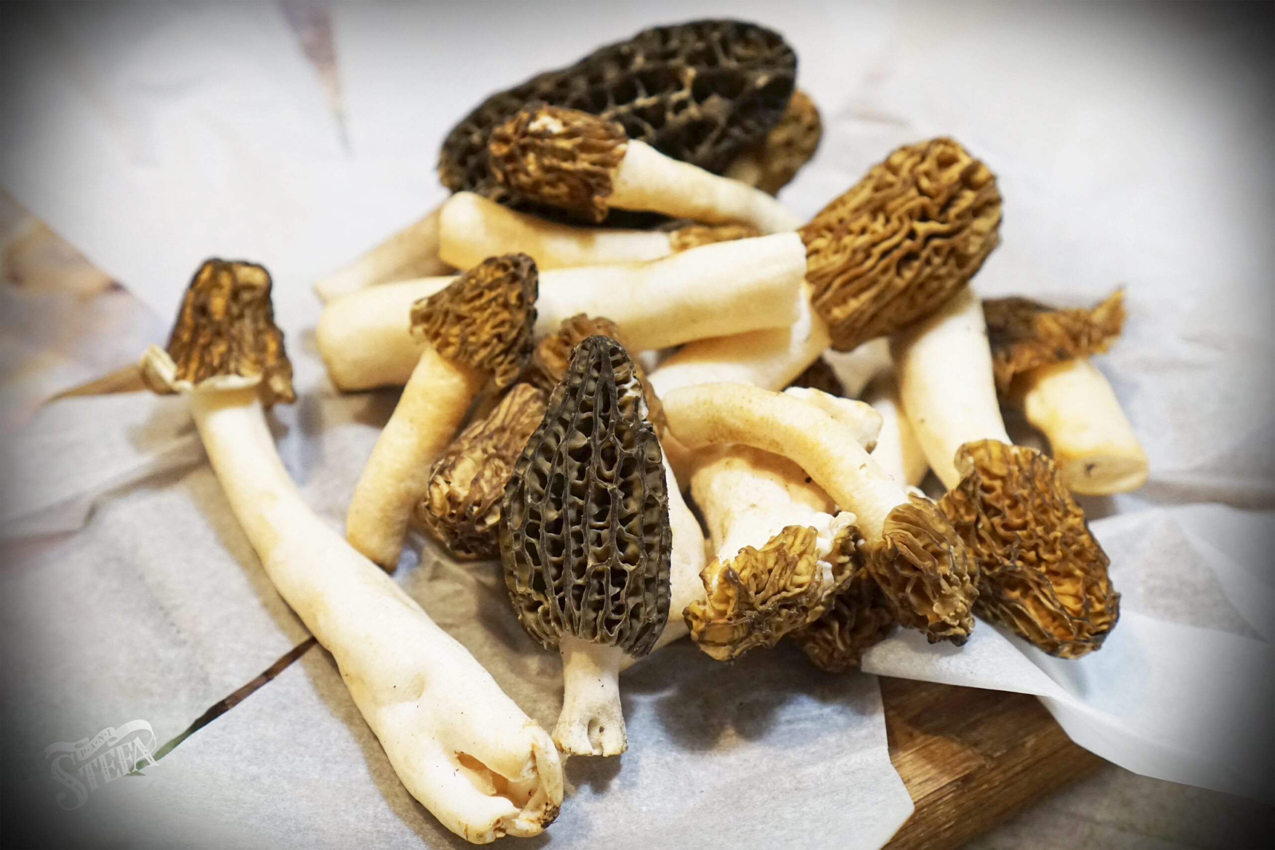 Pile of dried morel mushrooms on parchment paper, some pale and some dark brown, with a textured honeycomb surface