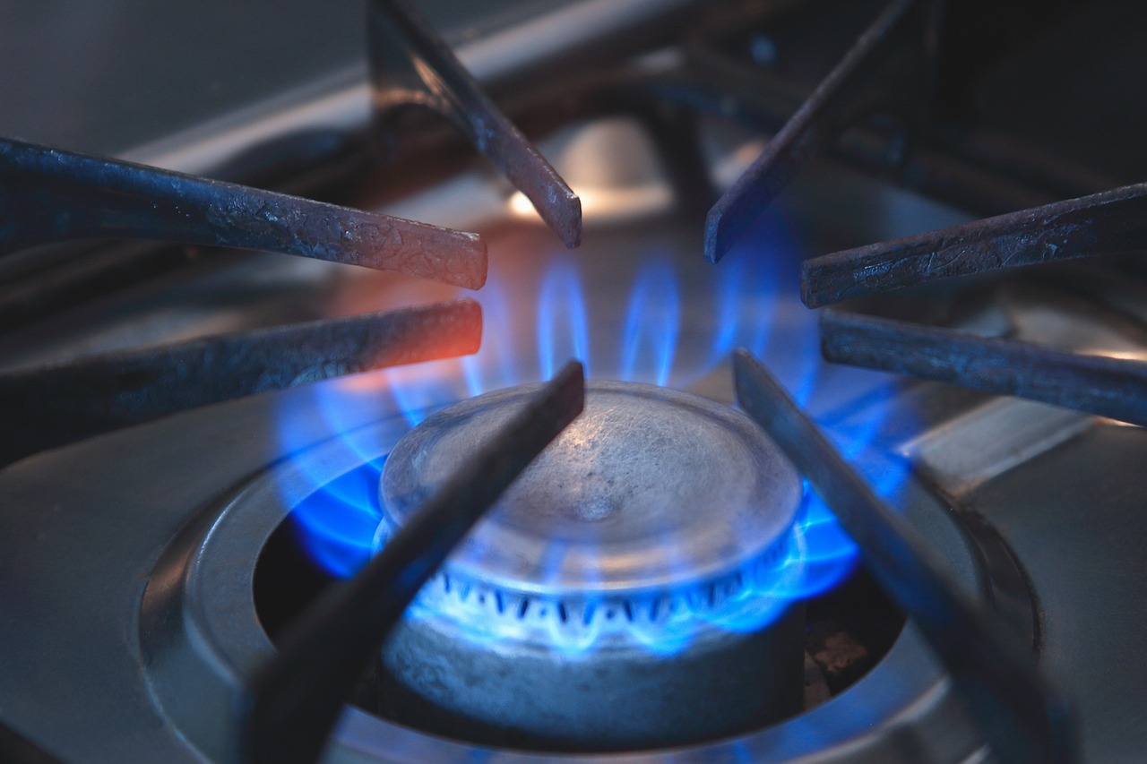 Gas stove burner lit with blue flames surrounding the metal burner cap.