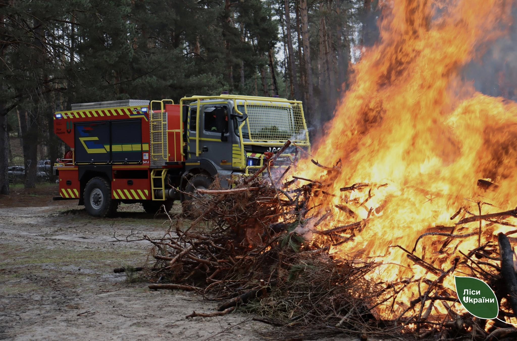 Firefighting truck beside a raging forest fire burning piles of branches; a green 'Ліси України' badge is visible in the lower right corner.