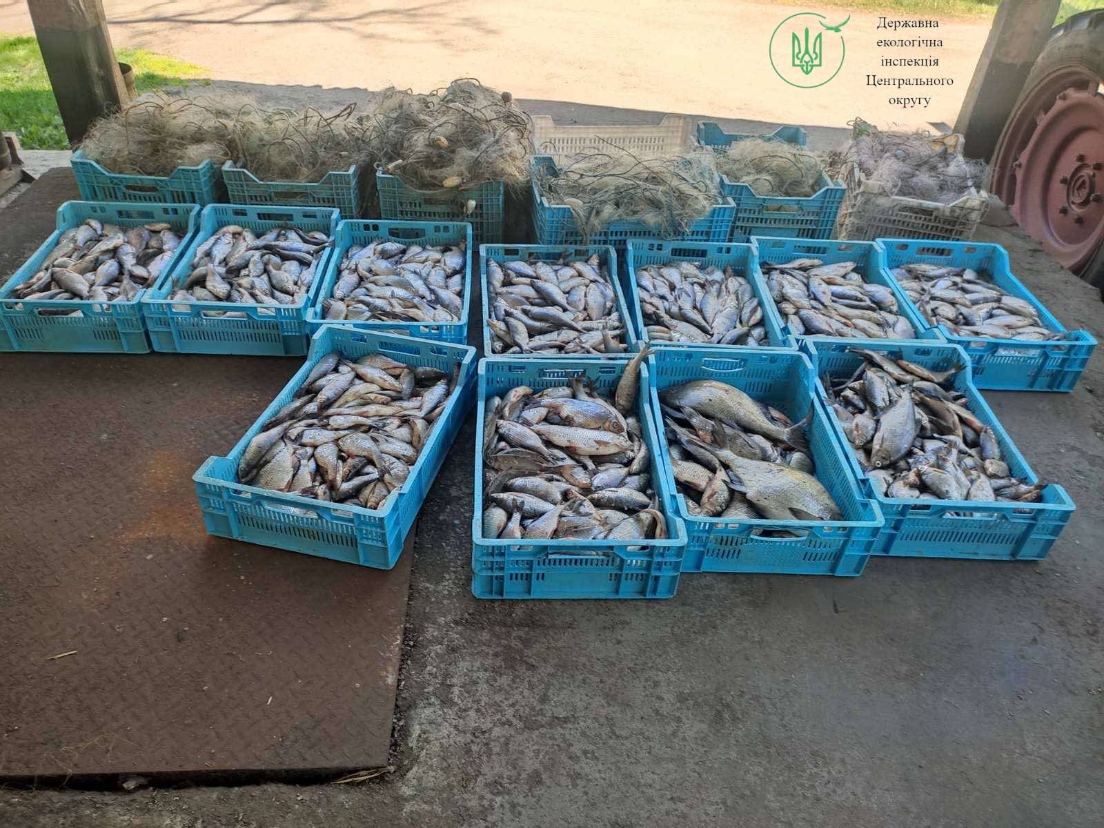 Blue plastic crates filled with assorted fresh fish arranged on a concrete outdoor surface, with fishing nets in the background.