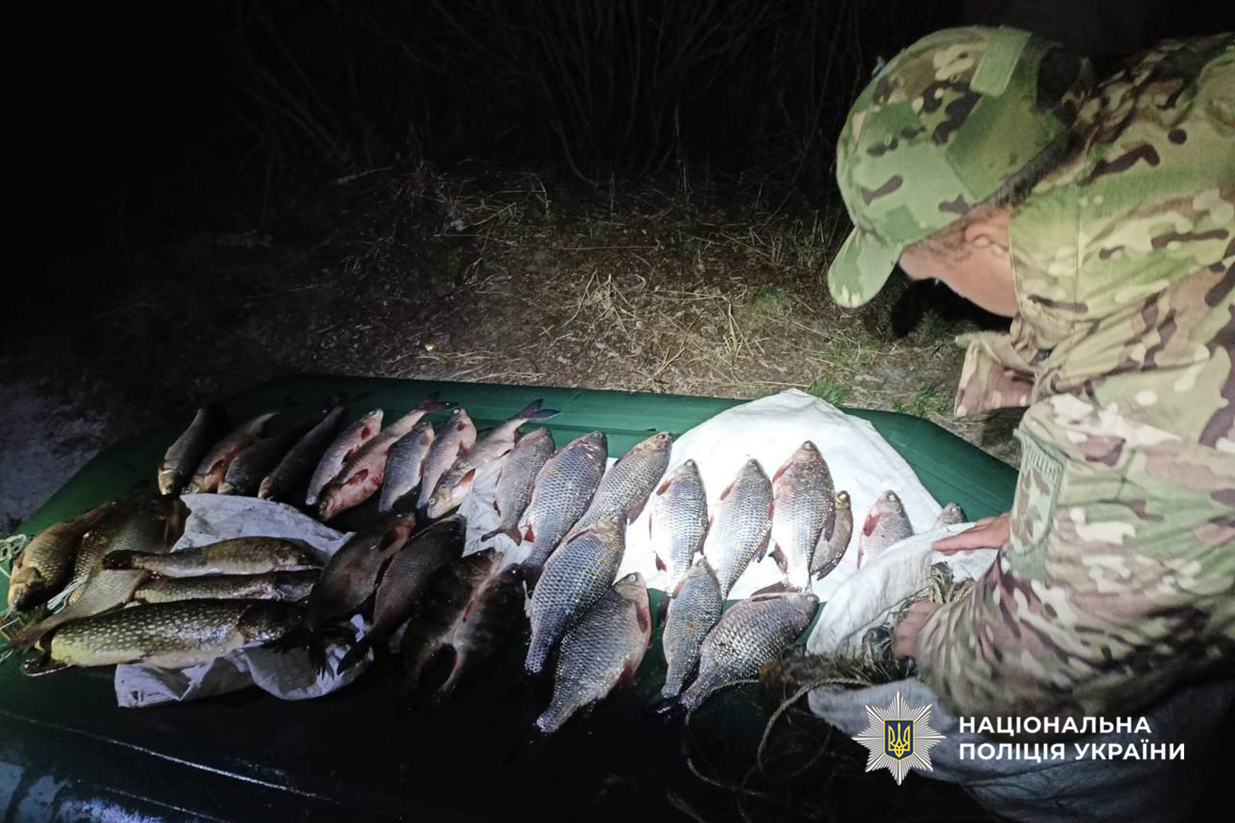 Night scene of a person in camouflage inspecting a row of fish laid out on a green tarp; Ukrainian police watermark in the corner.