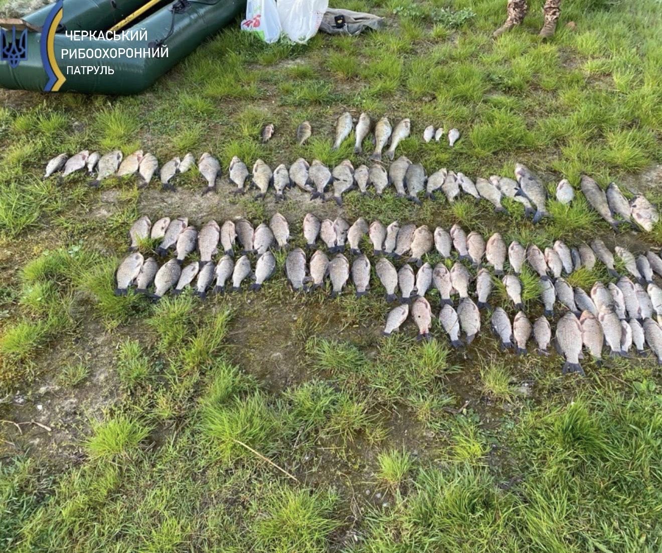 Dozens of fish laid out in rows on grass beside a green boat with Ukrainian emblem and the text Cherkasy Ribookhoronnyj Patronl (river patrol).