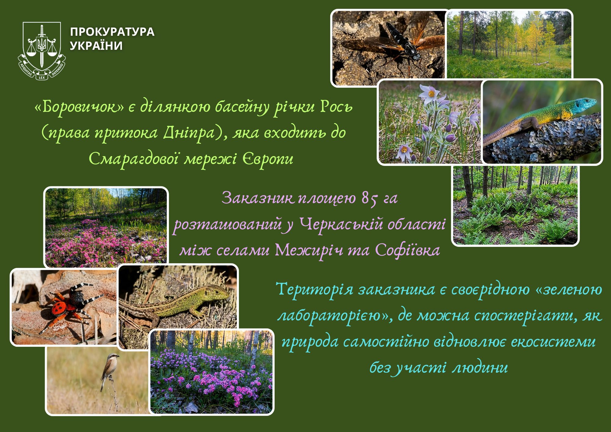 Header banner with a collage of nature photos (dragonfly, forest, flowers, lizard, salamander) on a green background and Ukrainian text about a regional nature reserve.