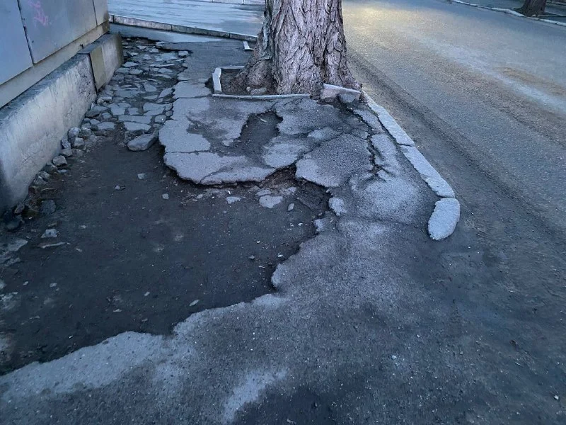 Cracked asphalt sidewalk around a tree in an urban street, with puddles and loose broken concrete edge near the curb